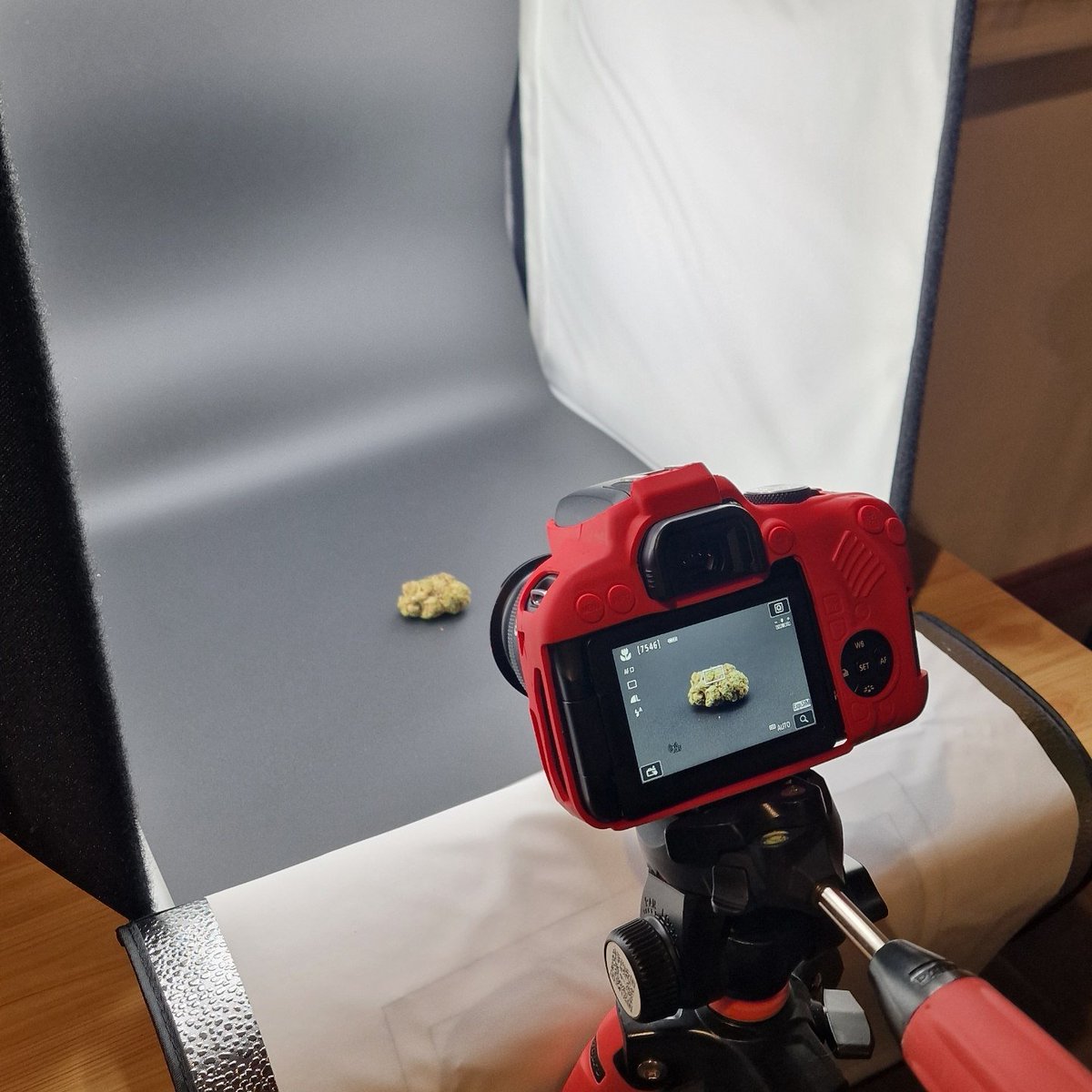 William Wallace tweet media