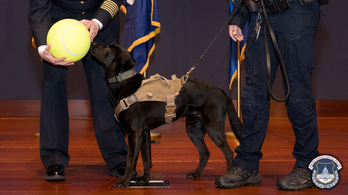 The U.S. Capitol Police tweet media