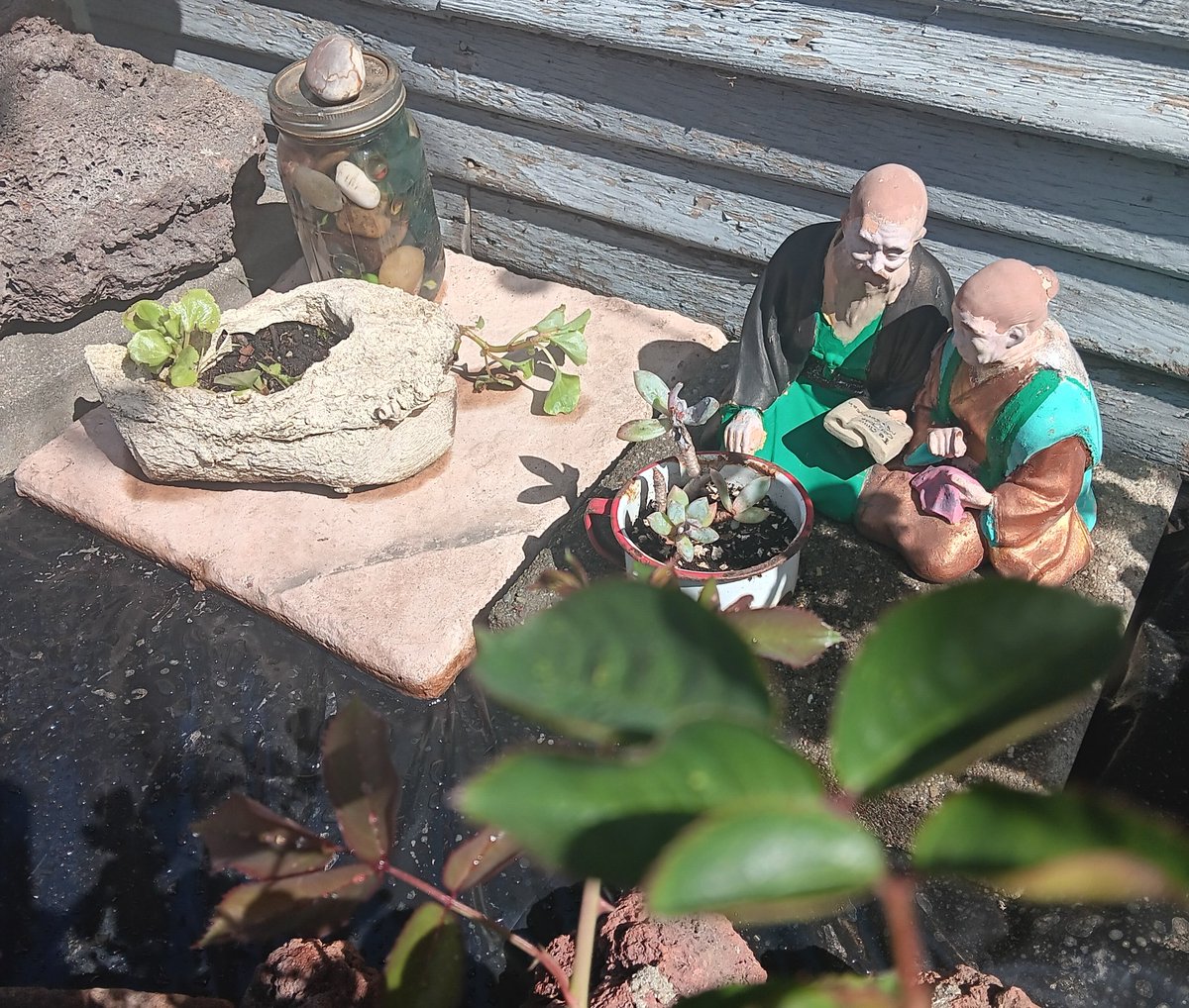 Pedro Zavier tweet media