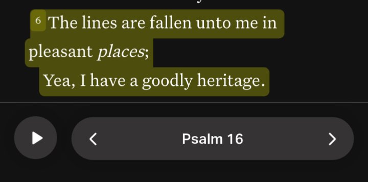 seloft.is tweet media