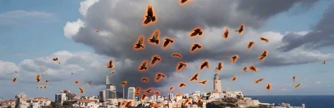 YahyahTheDev tweet media