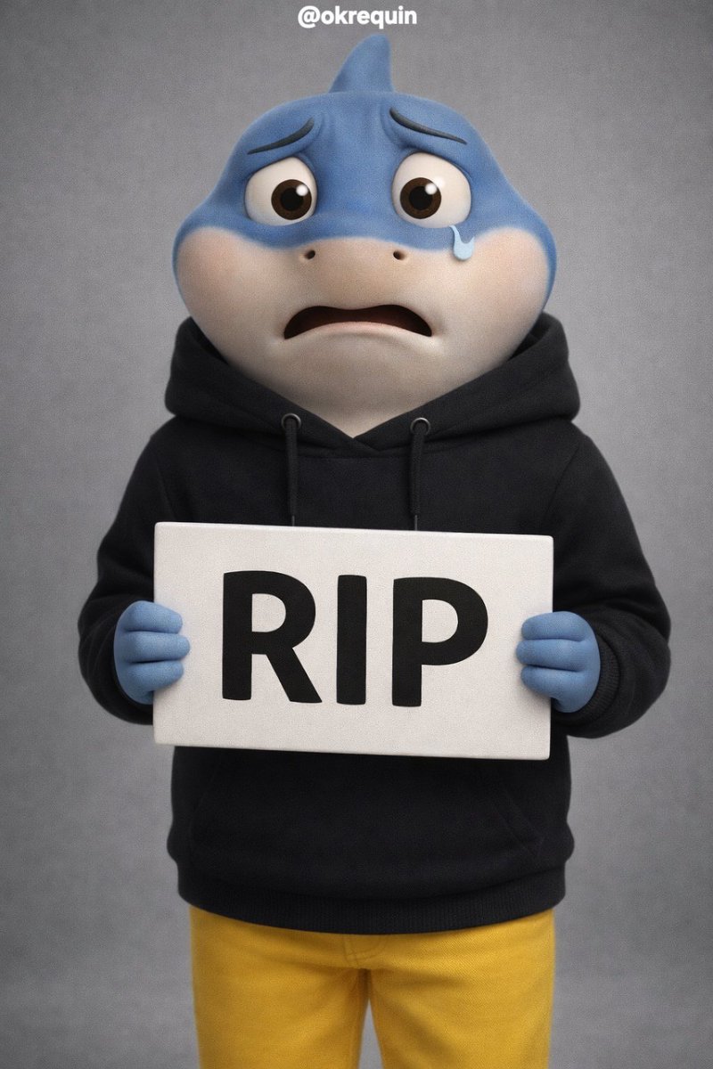 Sharky 🦈 tweet media