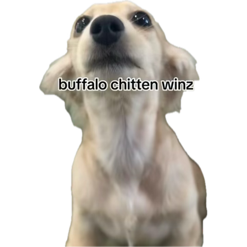 lesbian pancake † tweet media