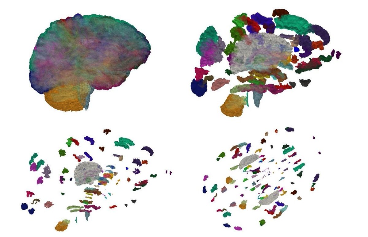 Charles Small tweet media