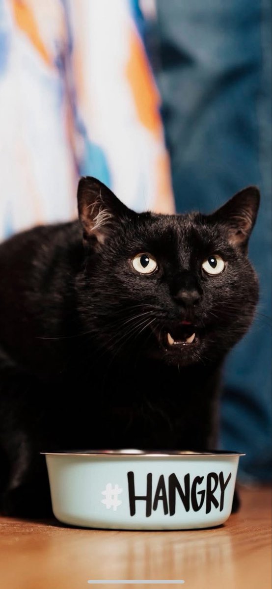 Invisible Derek tweet media