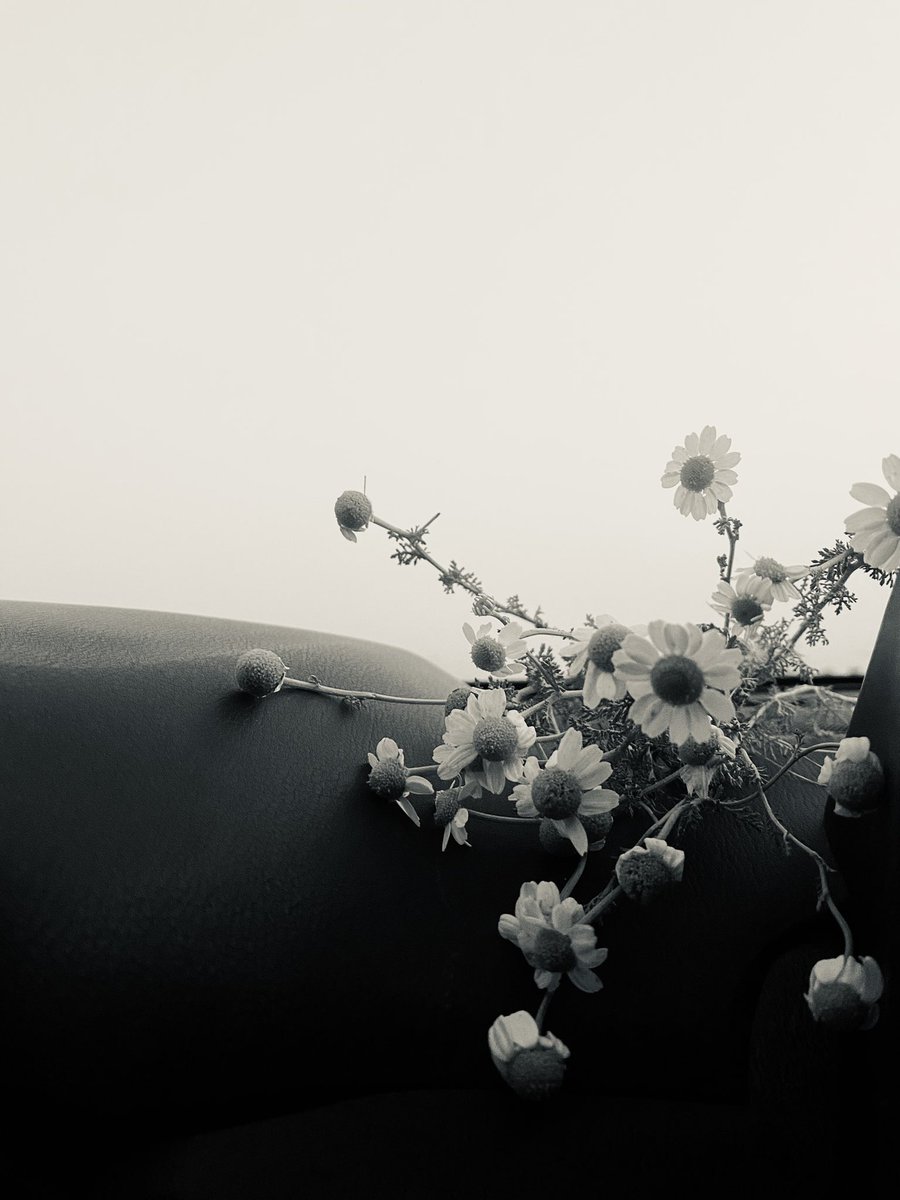طرفة عين