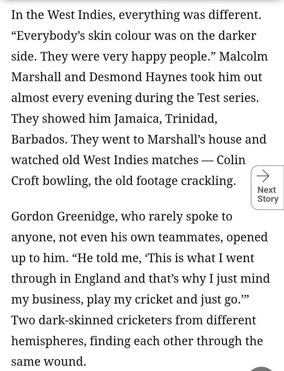 Bulbasaur tweet media