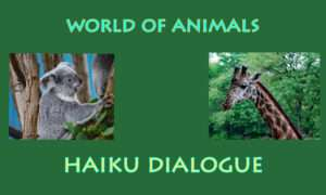 Paul Callus tweet media