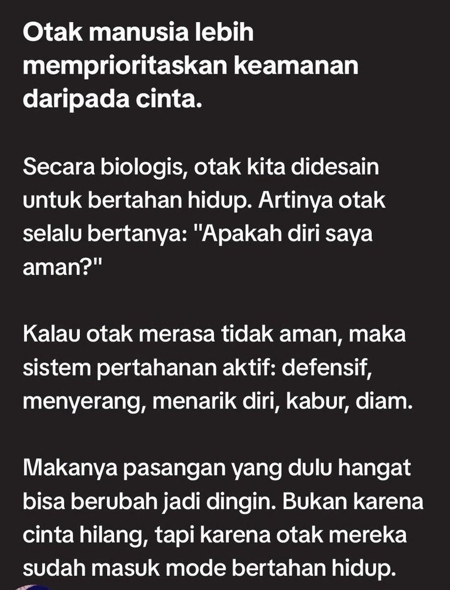 Cyndewquil 🦔🔥 tweet media