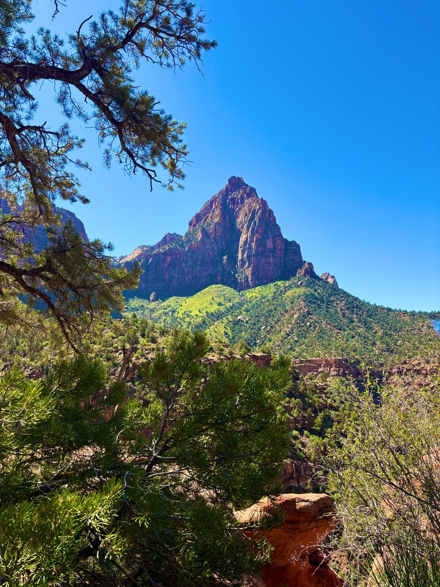 San Diego SaaS Slinger tweet media