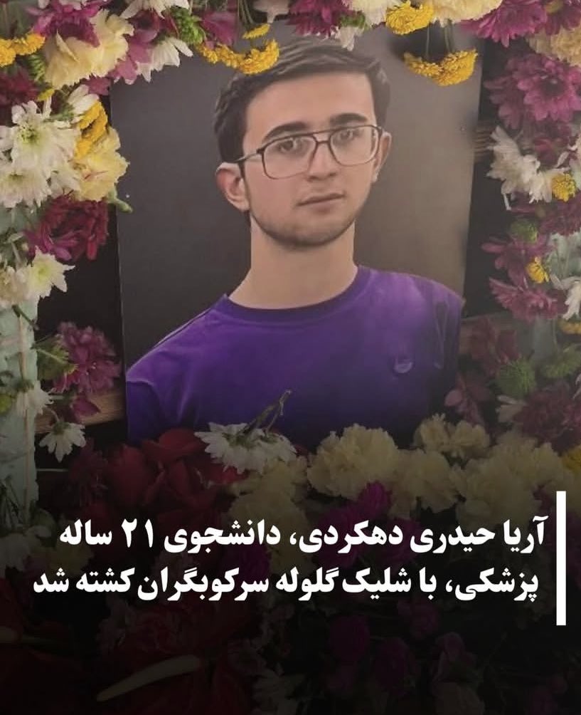 52-hertz whale tweet media