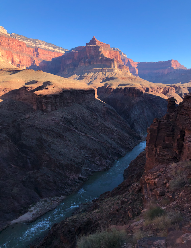 Peter Corbett tweet media