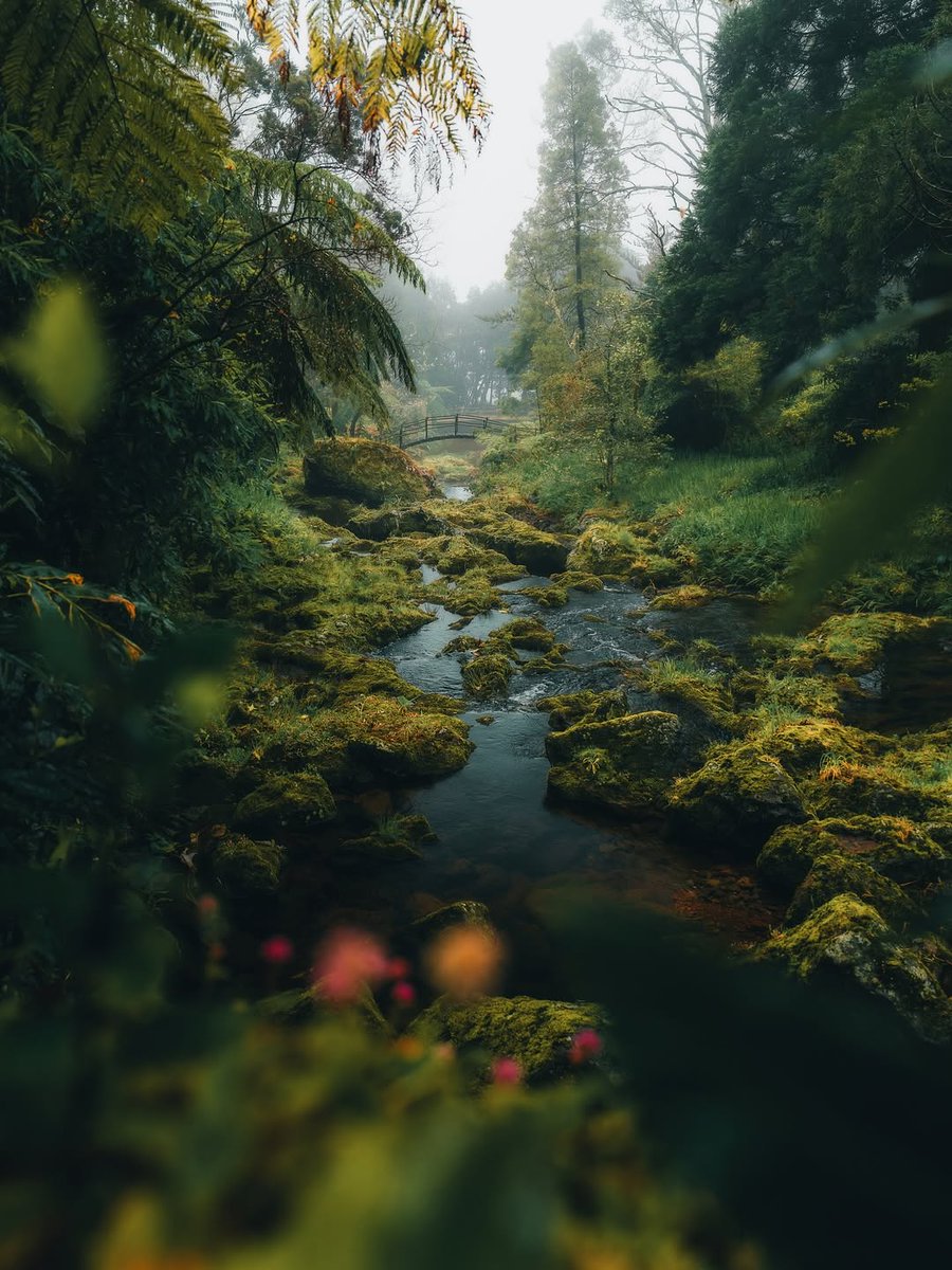 𝘄𝗮𝗻𝗱𝗲𝗿𝘁𝗿𝗮𝘃𝗲𝗹𝘀 tweet media