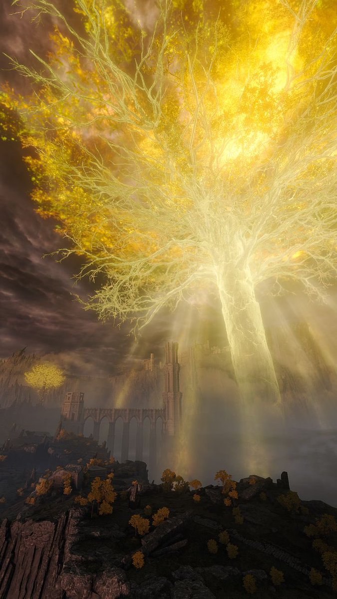 نايف tweet media