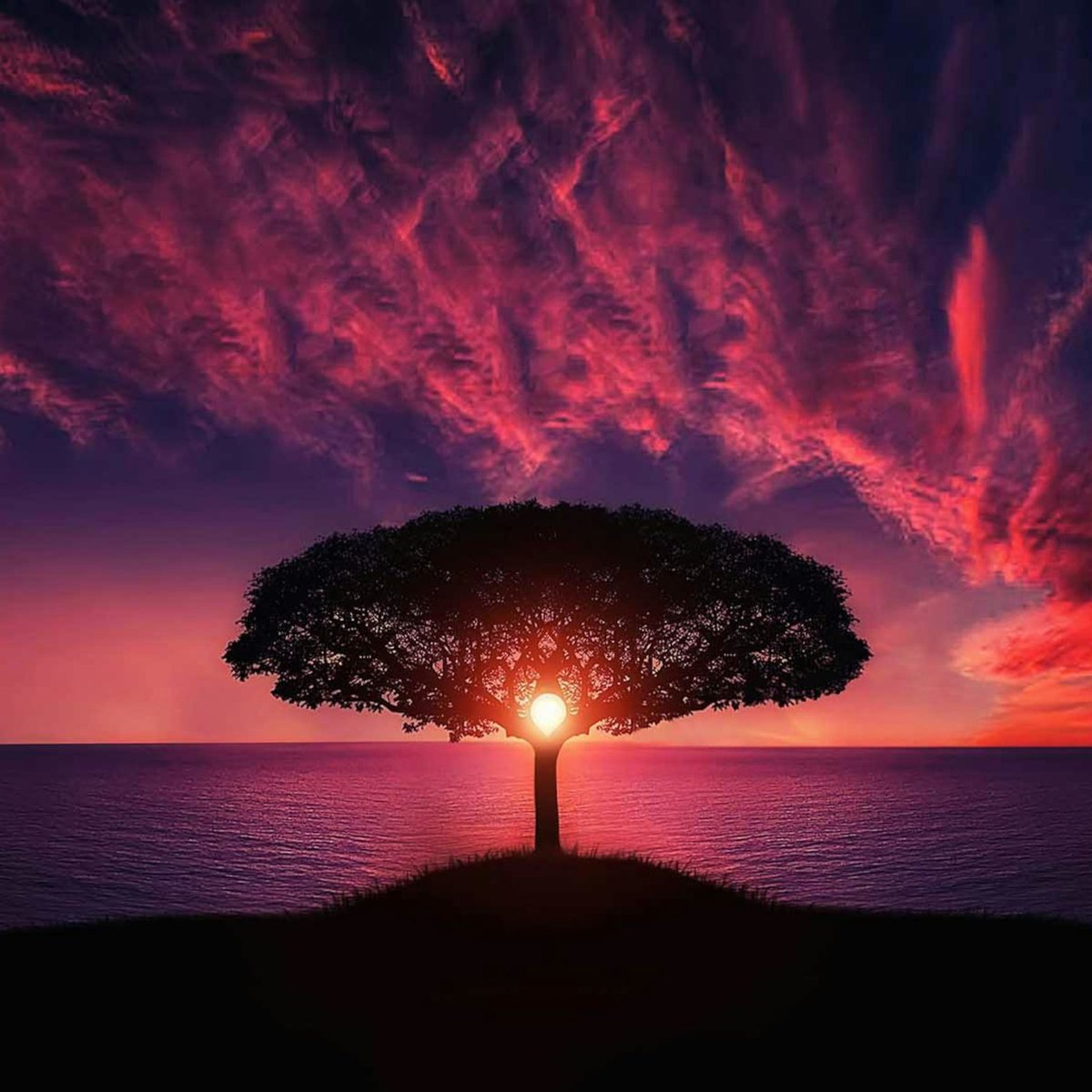 fanisatt's tweet photo. Sea of Dreams....
https://t.co/1lsy7Vt6zh
Free Download : https://t.co/xp4pvHyjrT https://t.co/nHkVeXlhYn