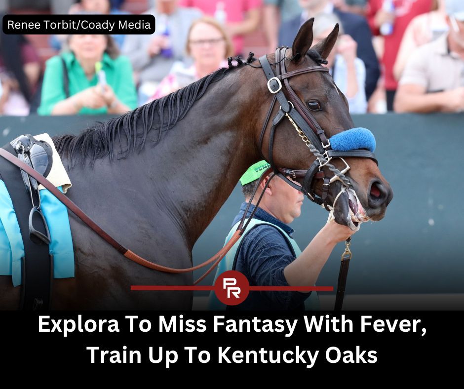 Paulick Report tweet media