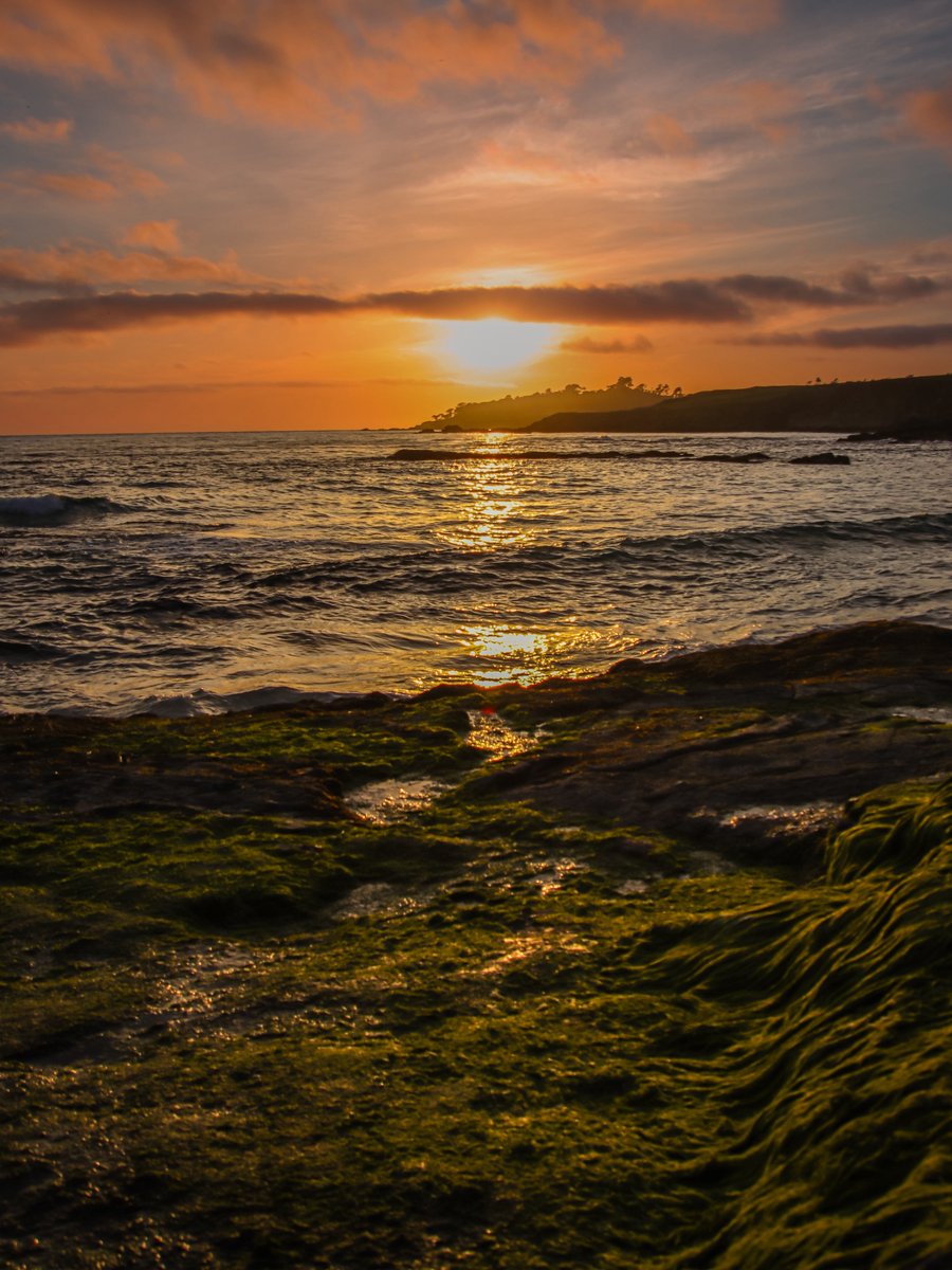 AdmiredArt tweet media