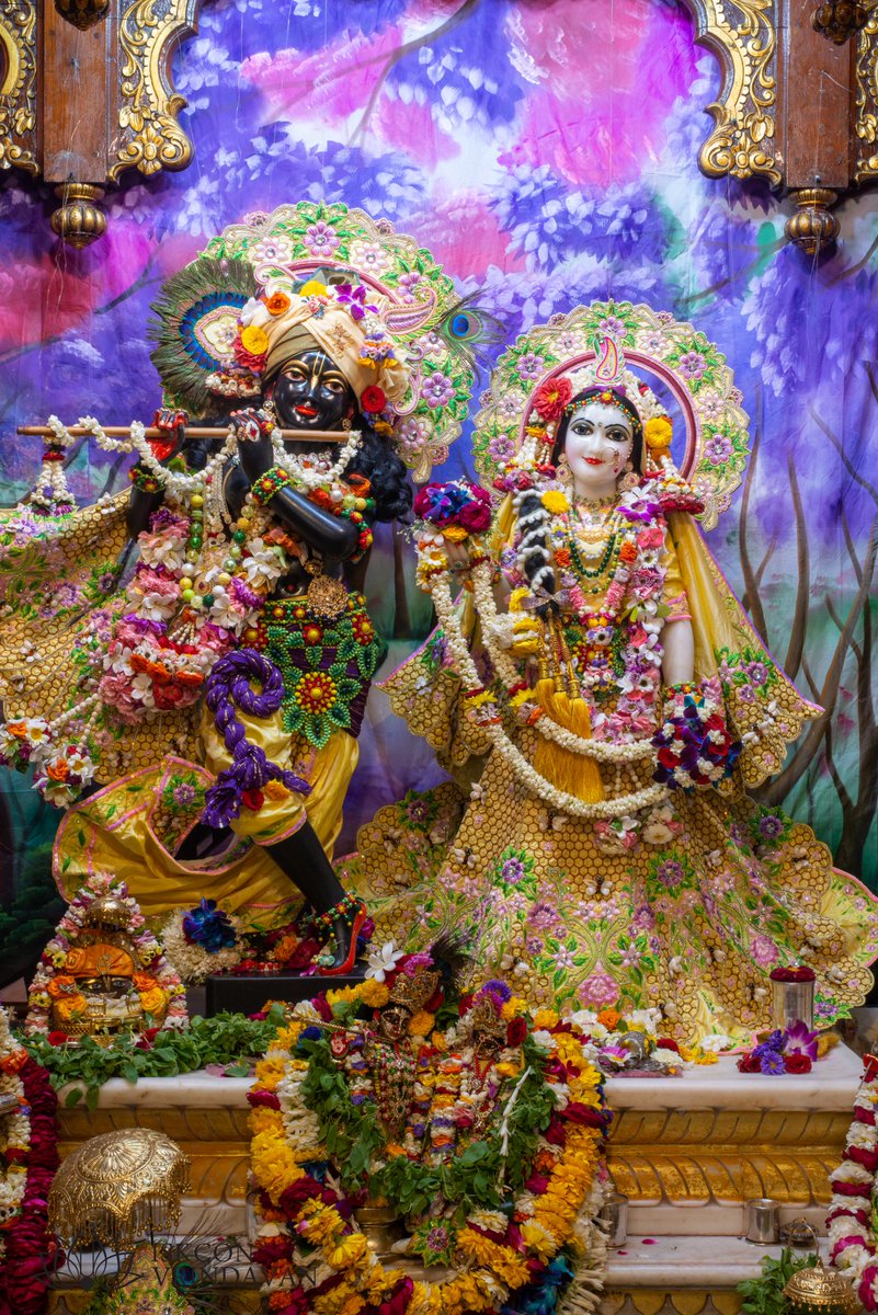 theholy_monk's tweet image. Today's Singar Darshan
ISKCON Vrindavan.
Date: 25 Mar 2026 Wednesday 

🍎🍎Radha Shyam Sundar 🍎🍎