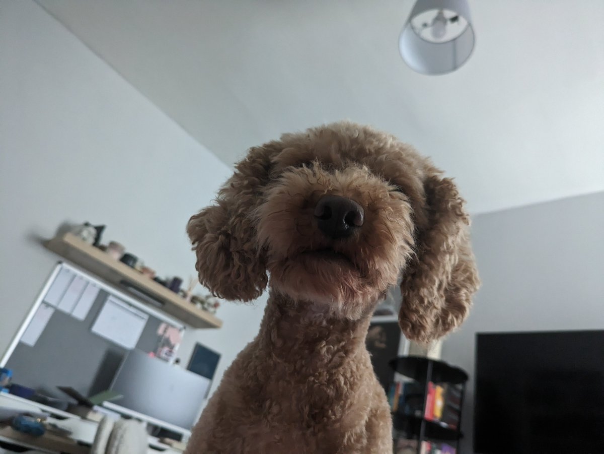 Letty Sharpe tweet media