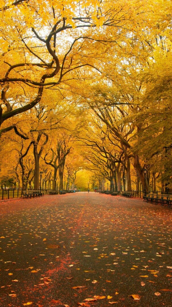 John Echel tweet media