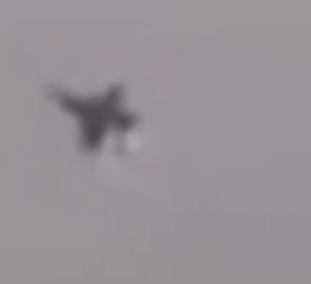 Nick Matau tweet media