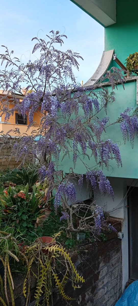 ✨🍓alesstar ✨🍓 tweet media