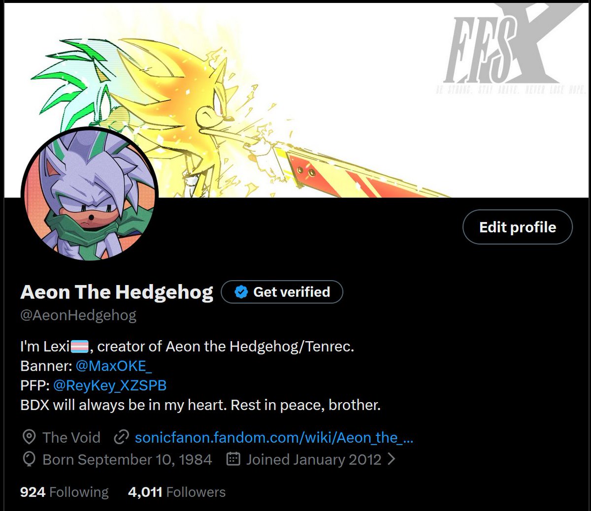 Aeon The Hedgehog (@AeonHedgehog) / Posts / X