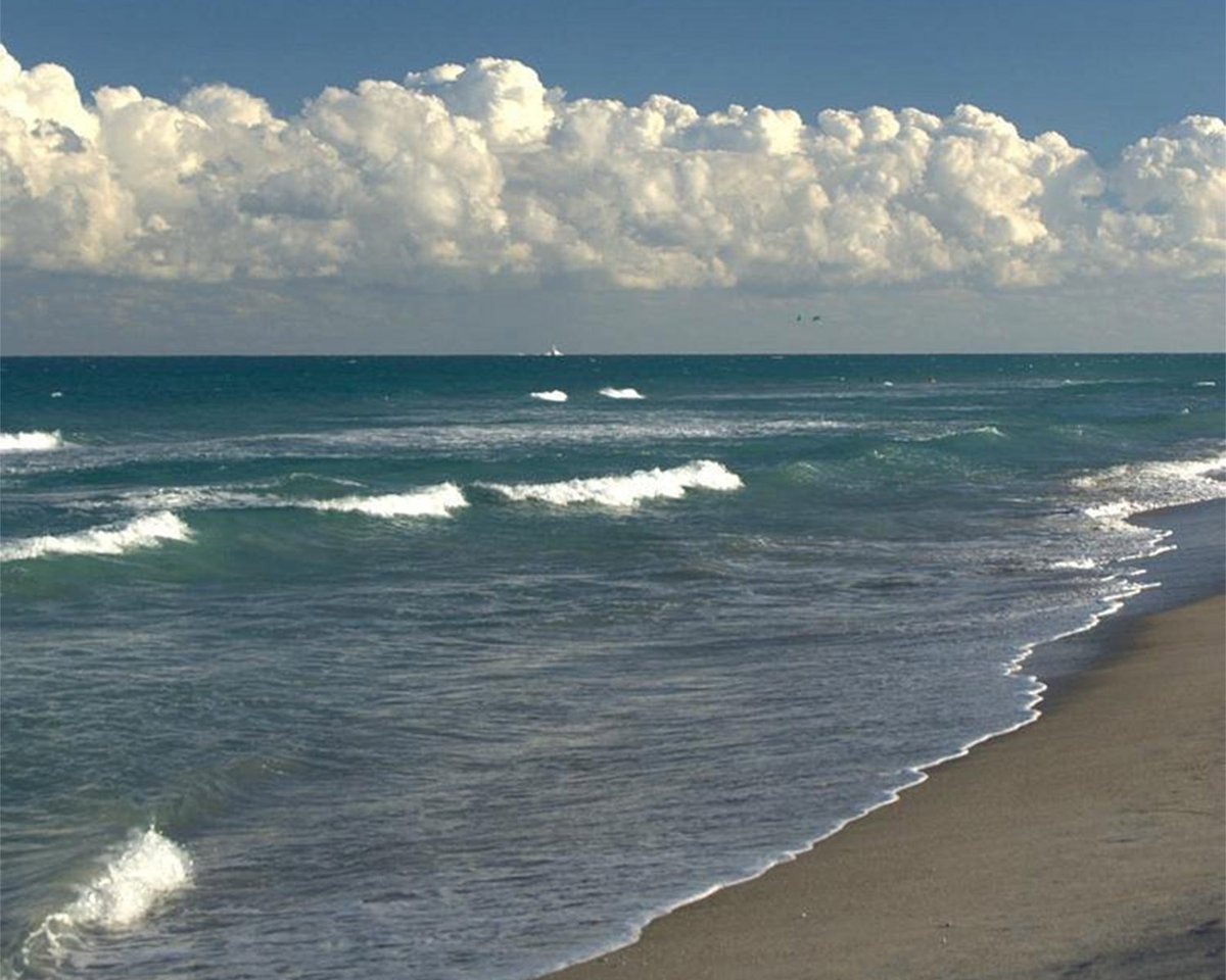 Barrett-Jackson tweet media