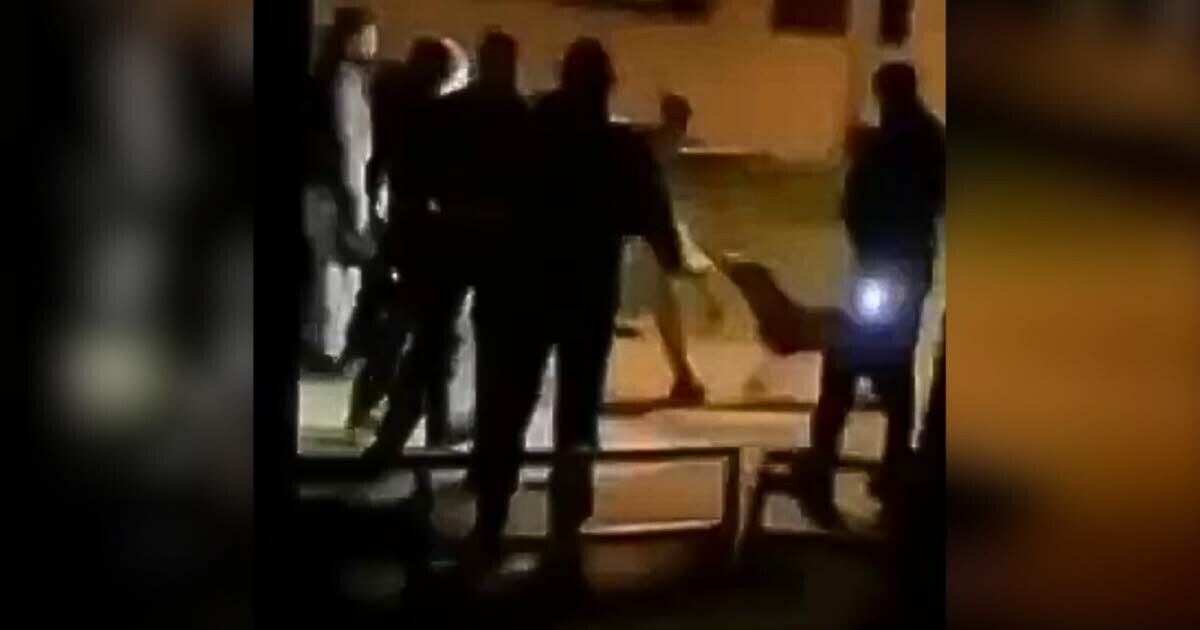 Le Progrès Lyon tweet media