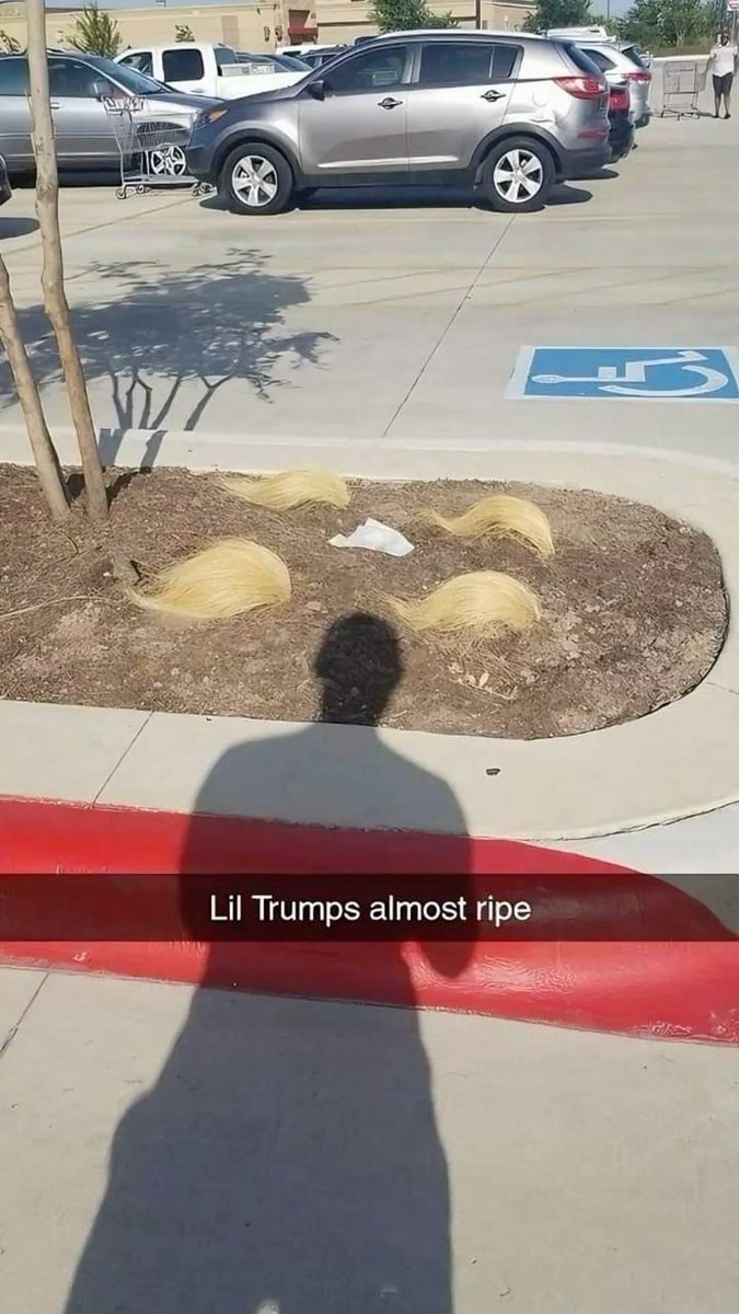 Internet Slop tweet media