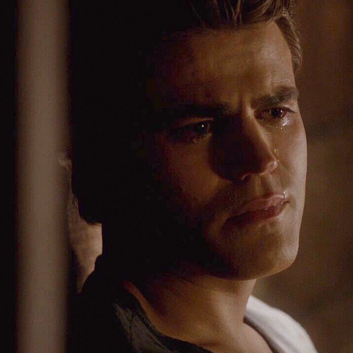 Stelena Epic Love tweet media