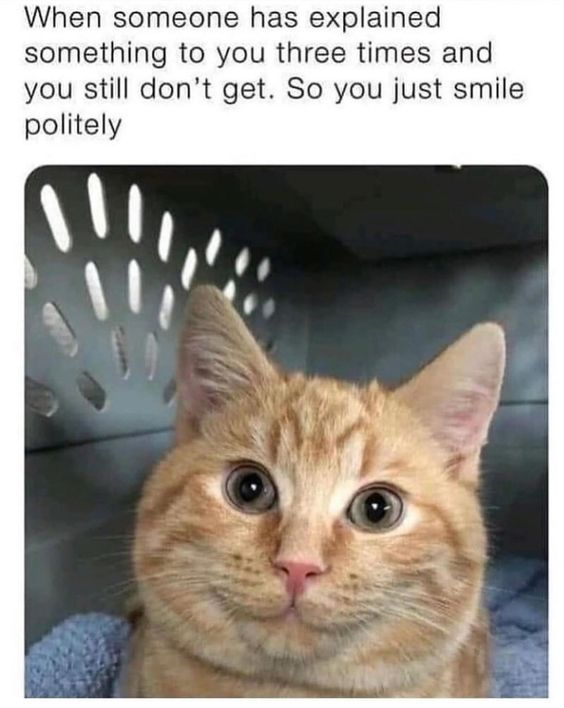 WholesomeMemes tweet media