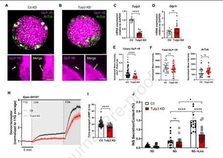 Daniel J Drucker tweet media