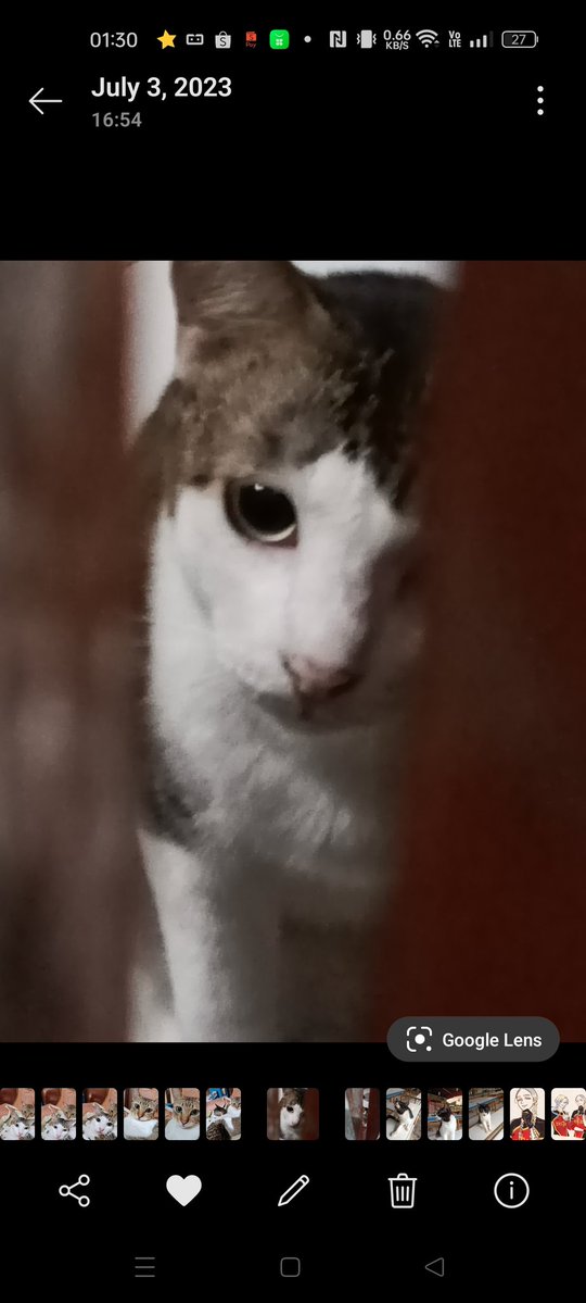 Disylusra | Sylus dearest wife tweet media