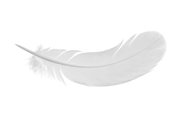 Diyarname tweet media