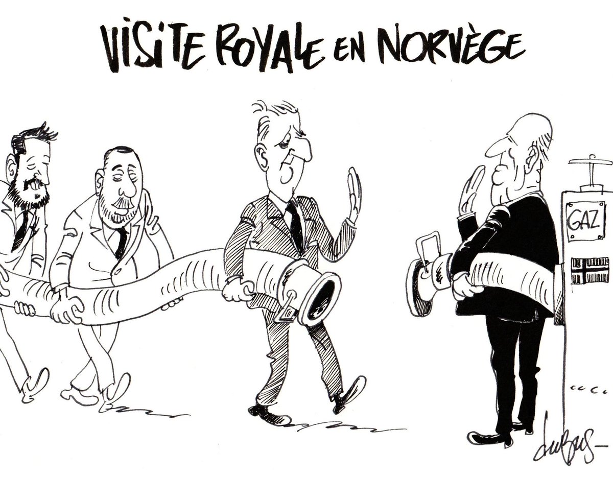 Queen Mathilde Blog tweet media