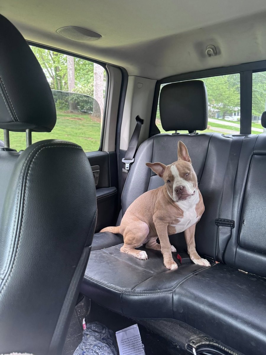 Paul Mueller tweet media