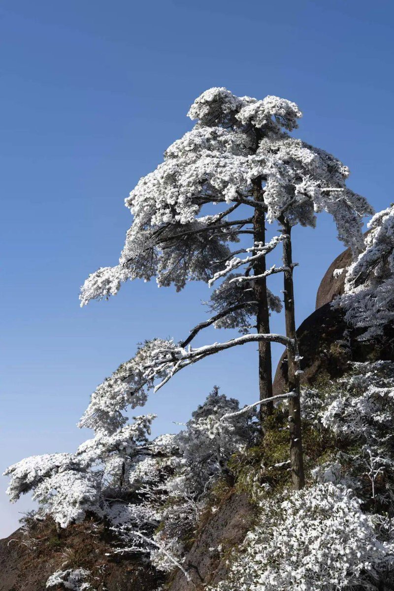 Katrin Smirnova tweet media