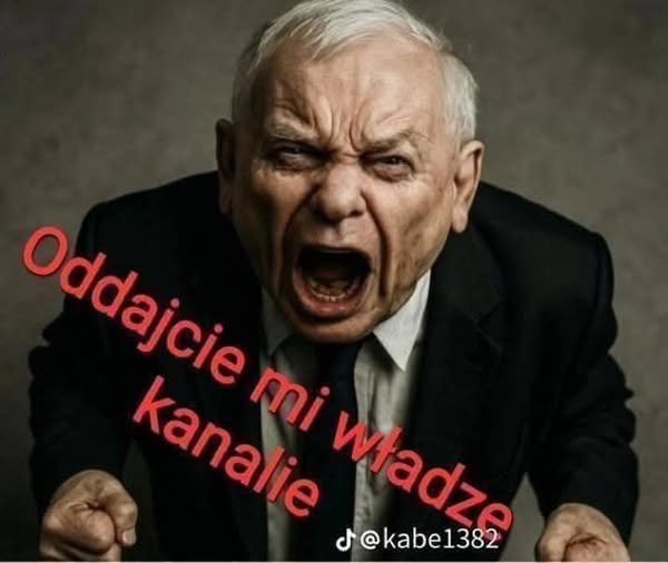 Julianna Palmer tweet media