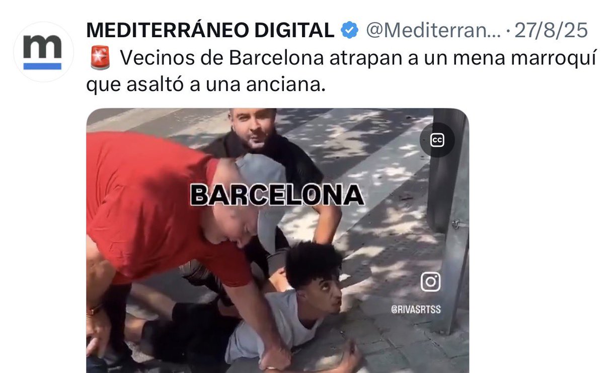 🇪🇸 tweet media