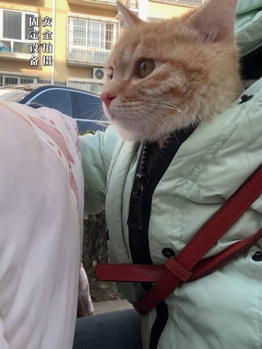 mark perez tweet media