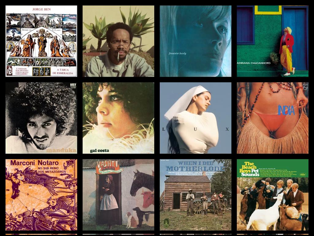 DAN 🌻🐿️🎶⏳ tweet media