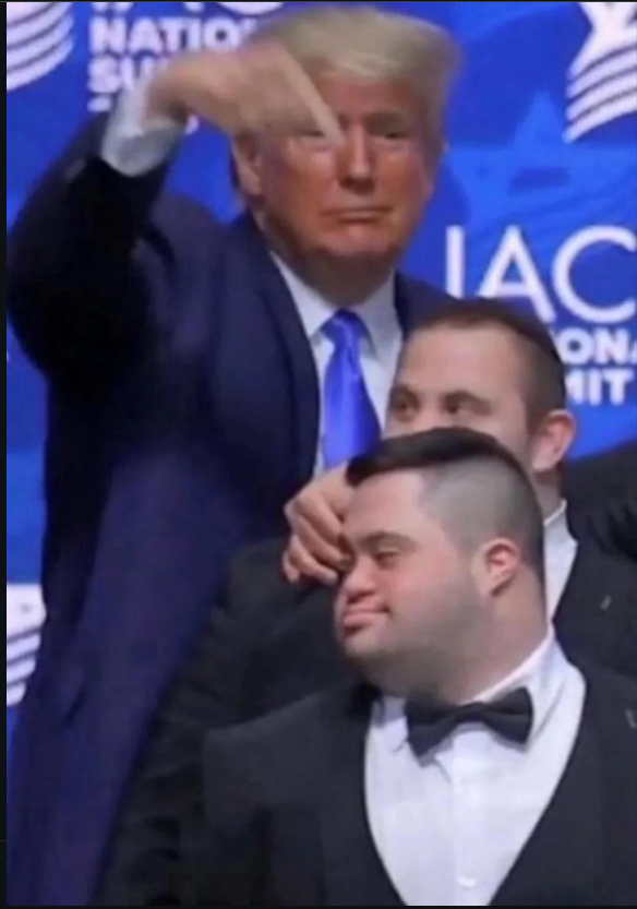 Magikarpital tweet media