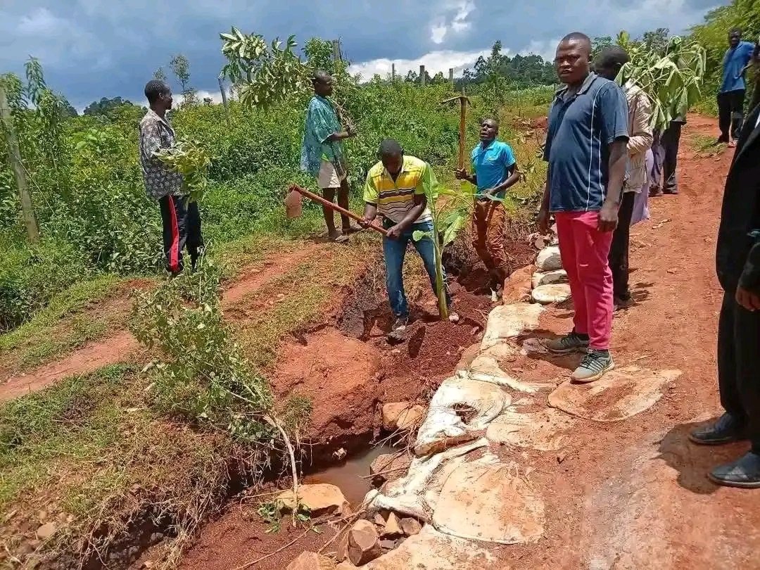 Ja Oyugis tweet media