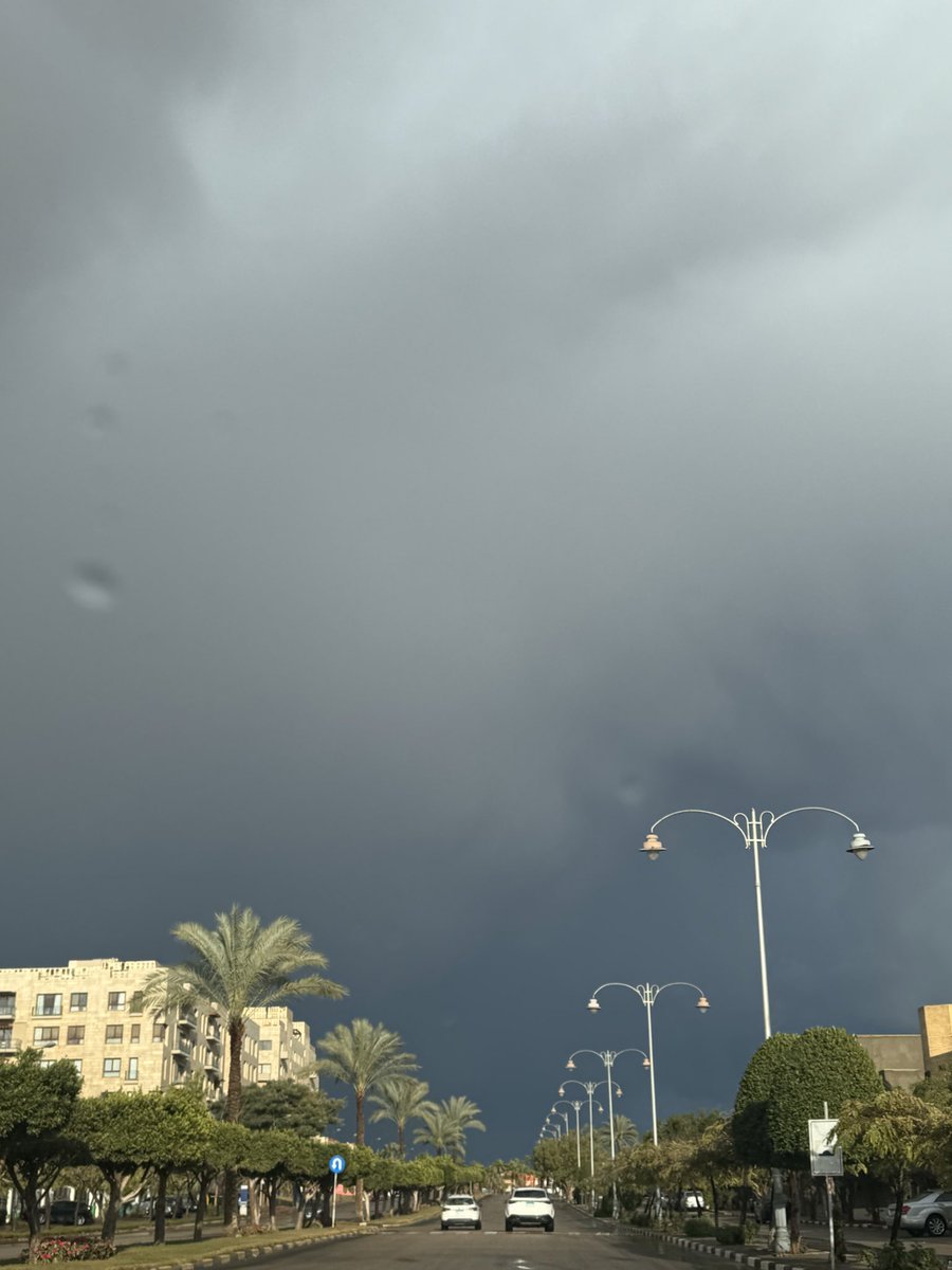 Soha Serry tweet media