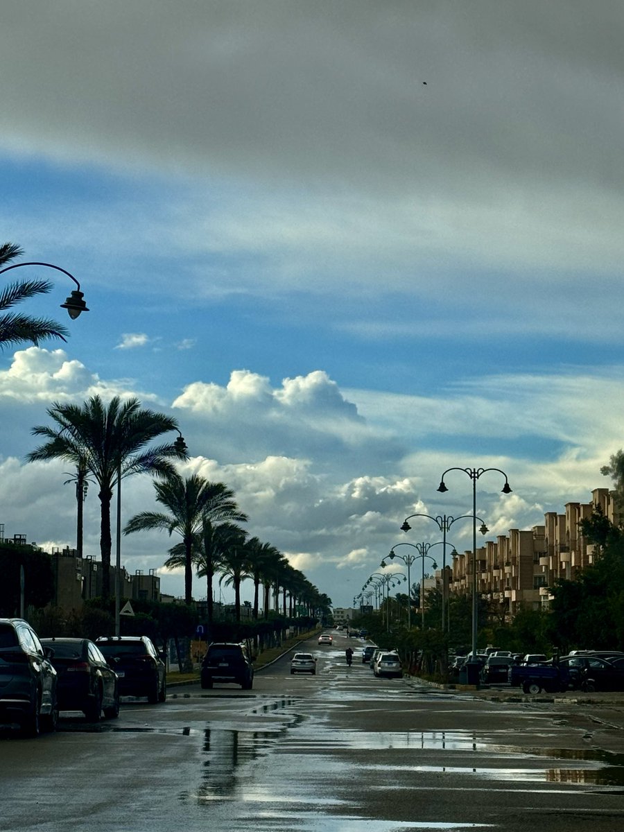 Soha Serry tweet media