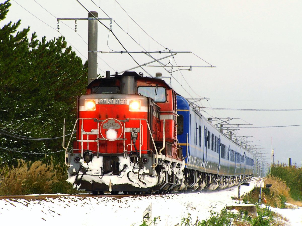 Nimo5@jp tweet media