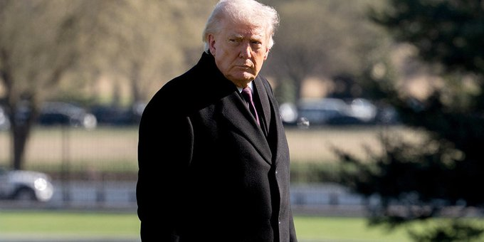 Boardroom Patriot tweet media