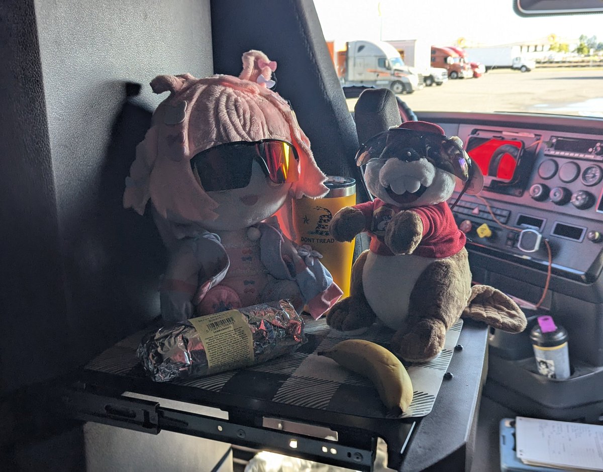 MisterDances tweet media