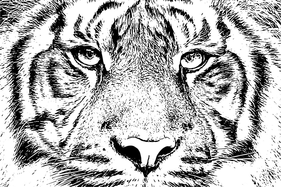 🇨🇴N7🇨🇴 tweet media